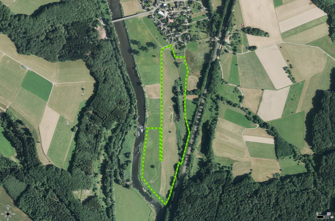 Bild "Auenweideprojekt Röcklingen:Lageplan.jpg"